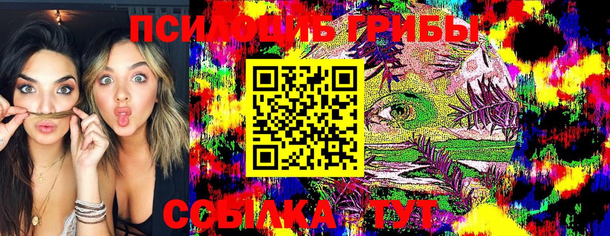Камень-на-Оби  Галлюциногенные грибы GOLDEN TEACHER  Вход с VPN 