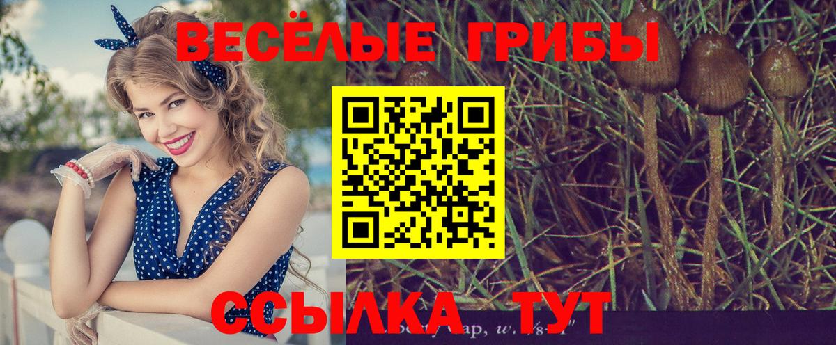 Галлюциногенные грибы мухоморы Камень-на-Оби
